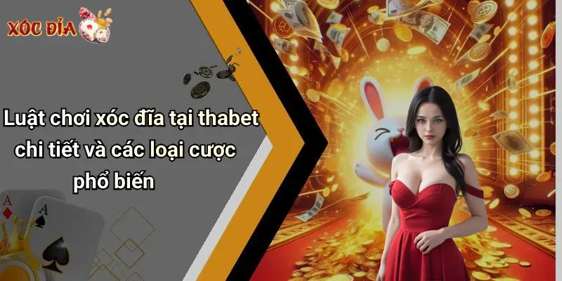 Luật chơi xóc đĩa tại thabet chi tiết và các loại cược phổ biến