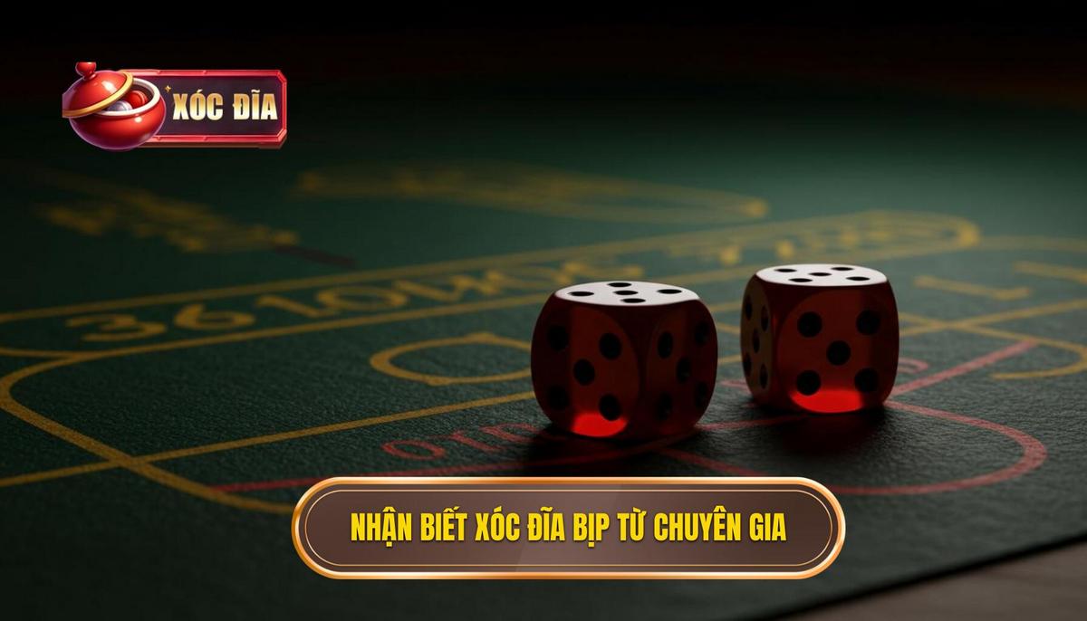 2. Xóc Đĩa Bịp – Cách Nhận Biết Từ Góc Độ Chuyên Gia