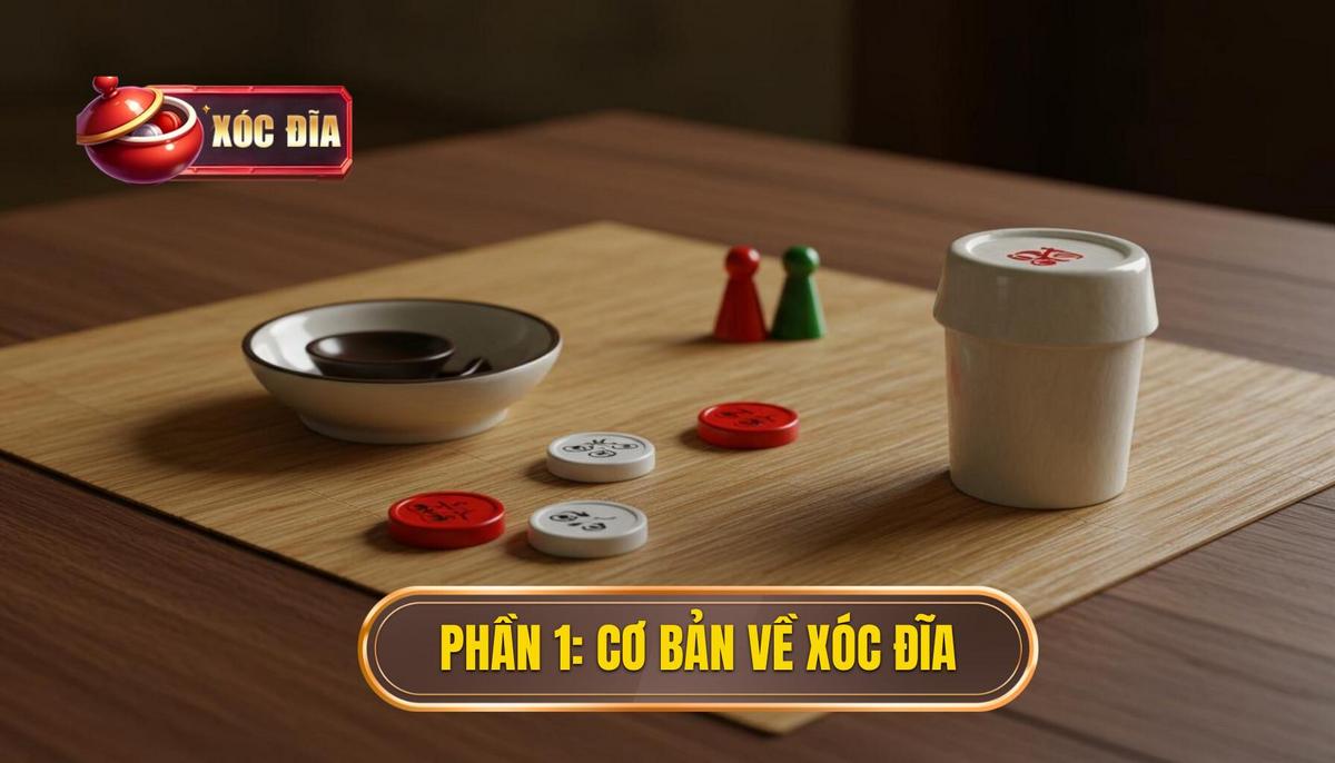 Phần 1 Nền Tảng Cơ Bản Về Xóc Đĩa