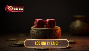 Xóc đĩa 1 1 Là Gì