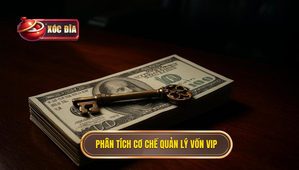 Phân Tích Chuyên Sâu Về Cơ Chế Quản Lý Vốn Vip