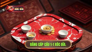 Đẳng Cấp Cầu 1 1 XÓc ĐĨa.