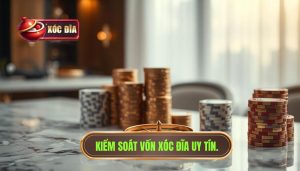Kiểm Soát Vốn XÓc ĐĨa Uy Tín.